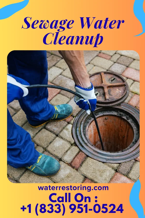 Sewage Water Cleanup in New Castle, KY