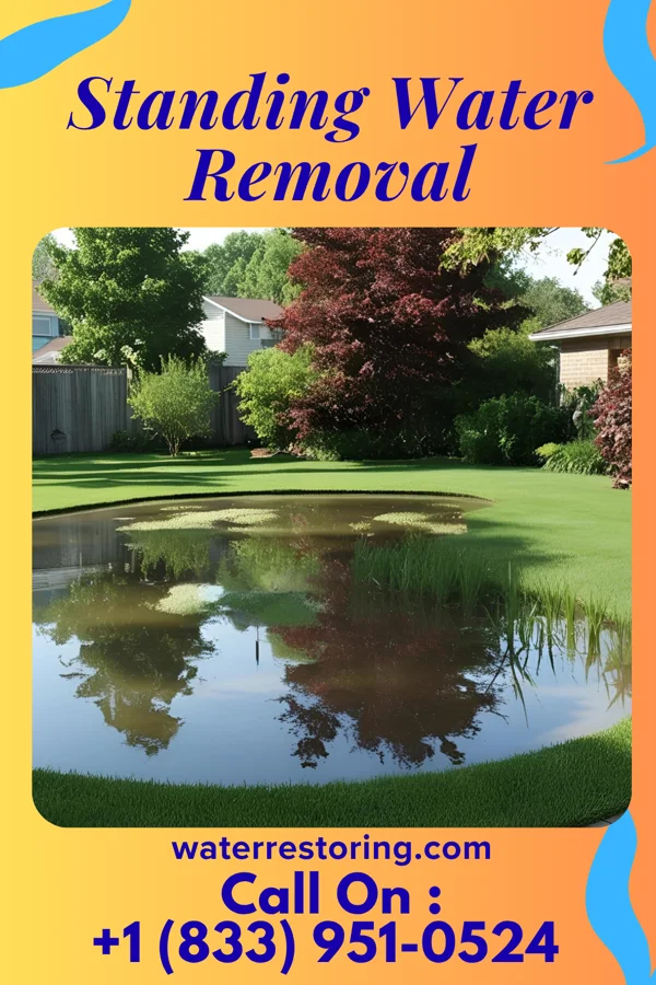 Standing Water Removal in New Castle, KY